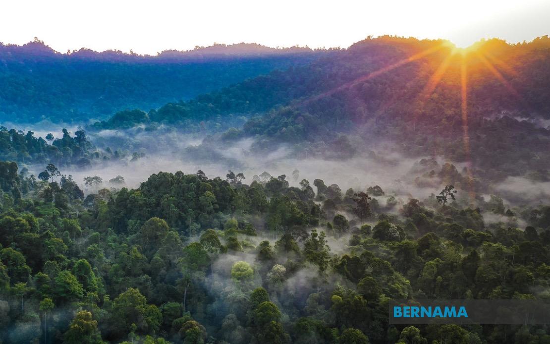 Kelantan Pledges Forest Reserve Replacement for All Degazetted Areas