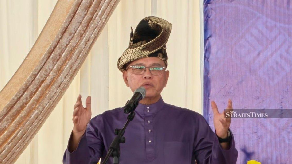 Negri Sembilan voters chose competence over identity politics, says Umno deputy