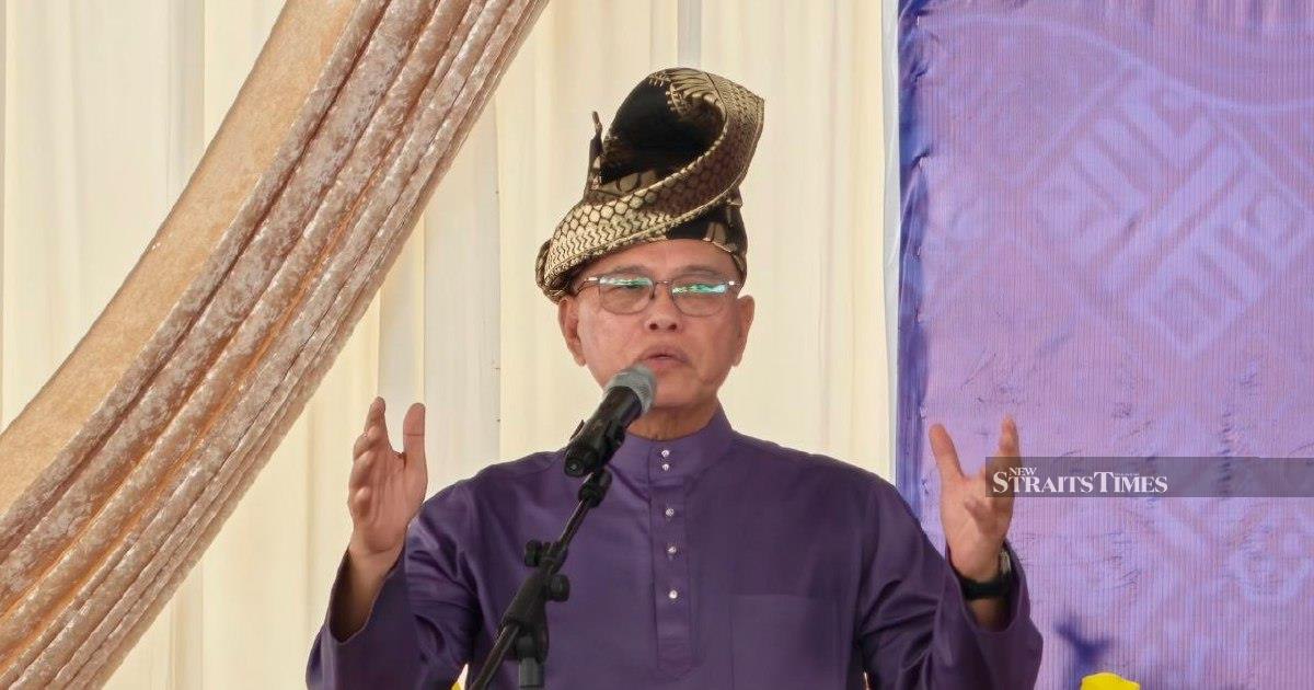 Negri Sembilan voters chose competence over identity politics, says Umno deputy