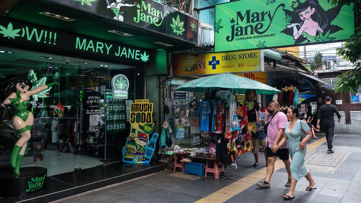 Thailand grapples with cannabis regulation as legal framework faces critical review