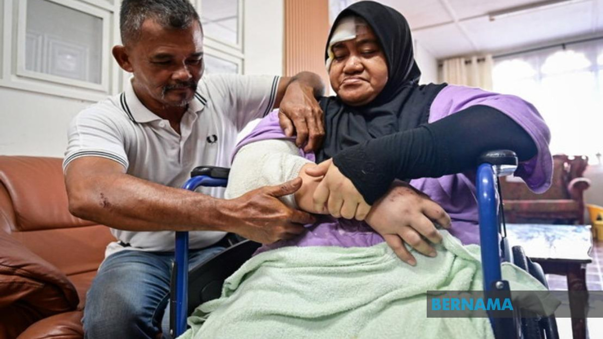 LPT2 Safety Breach: Accident Victim Demands Action After Wild Elephant Collision