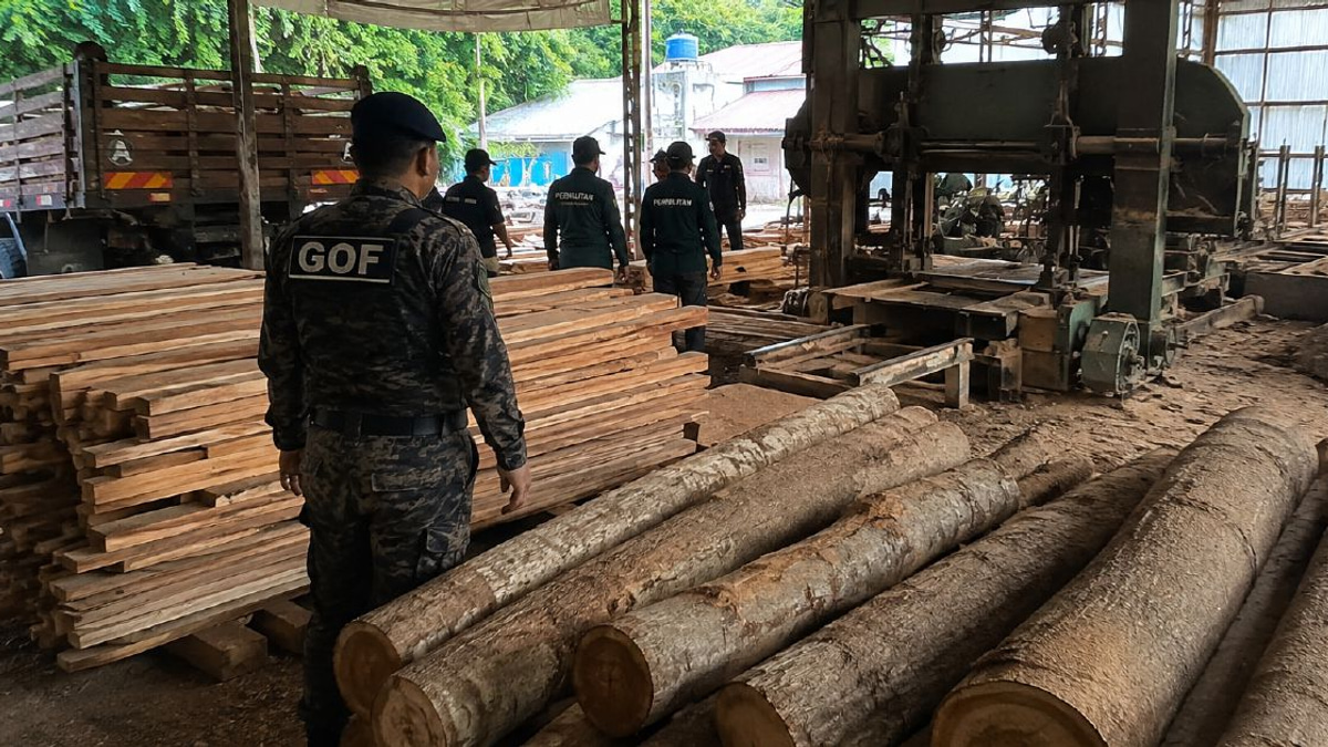 Illegal timber and equipment worth RM640,510 seized from Terengganu sawmill operation