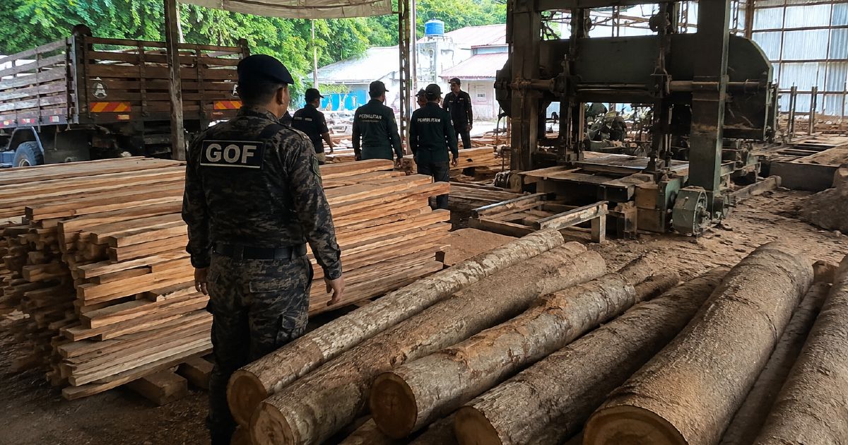 Illegal timber and equipment worth RM640,510 seized from Terengganu sawmill operation