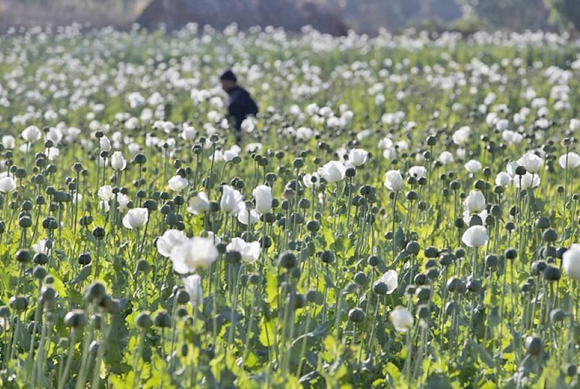 Myanmar Police Seize 17.6kg of Heroin and Million Stimulant Pills in Major Drug Bust