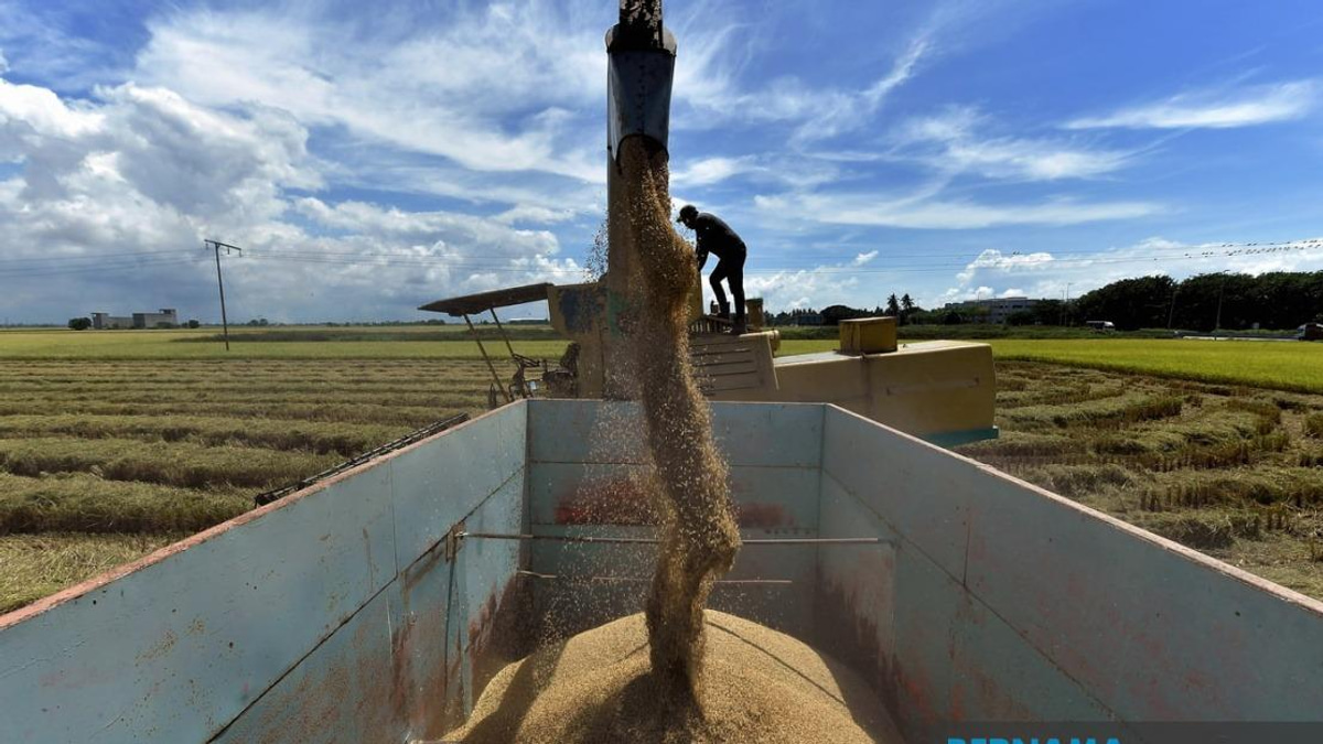 Parliament Advances Bill to Tighten Control Over Rice Prices and Penalties