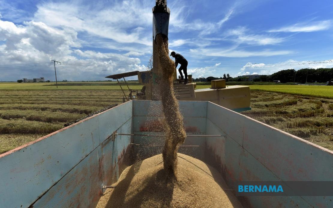 Parliament Advances Bill to Tighten Control Over Rice Prices and Penalties
