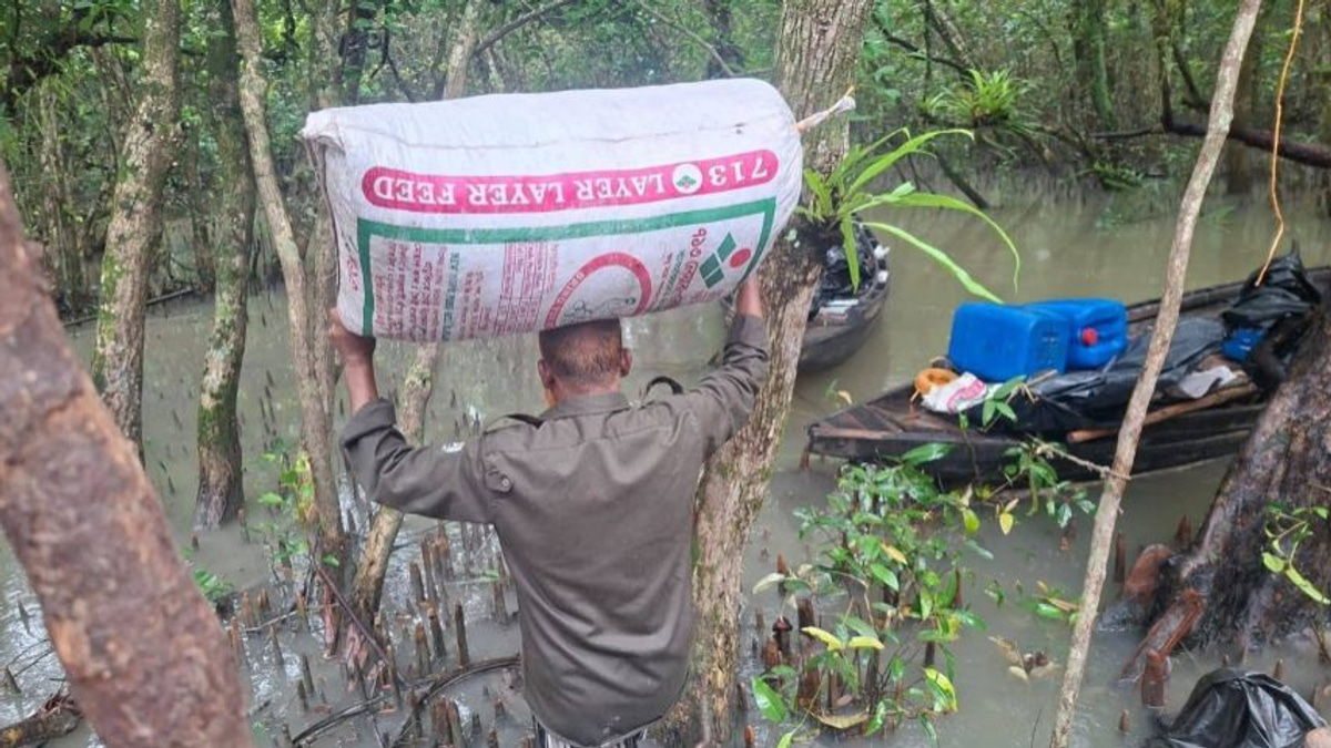 Bangladesh authorities dismantle illegal poison-based shrimp operation in Sundarbans