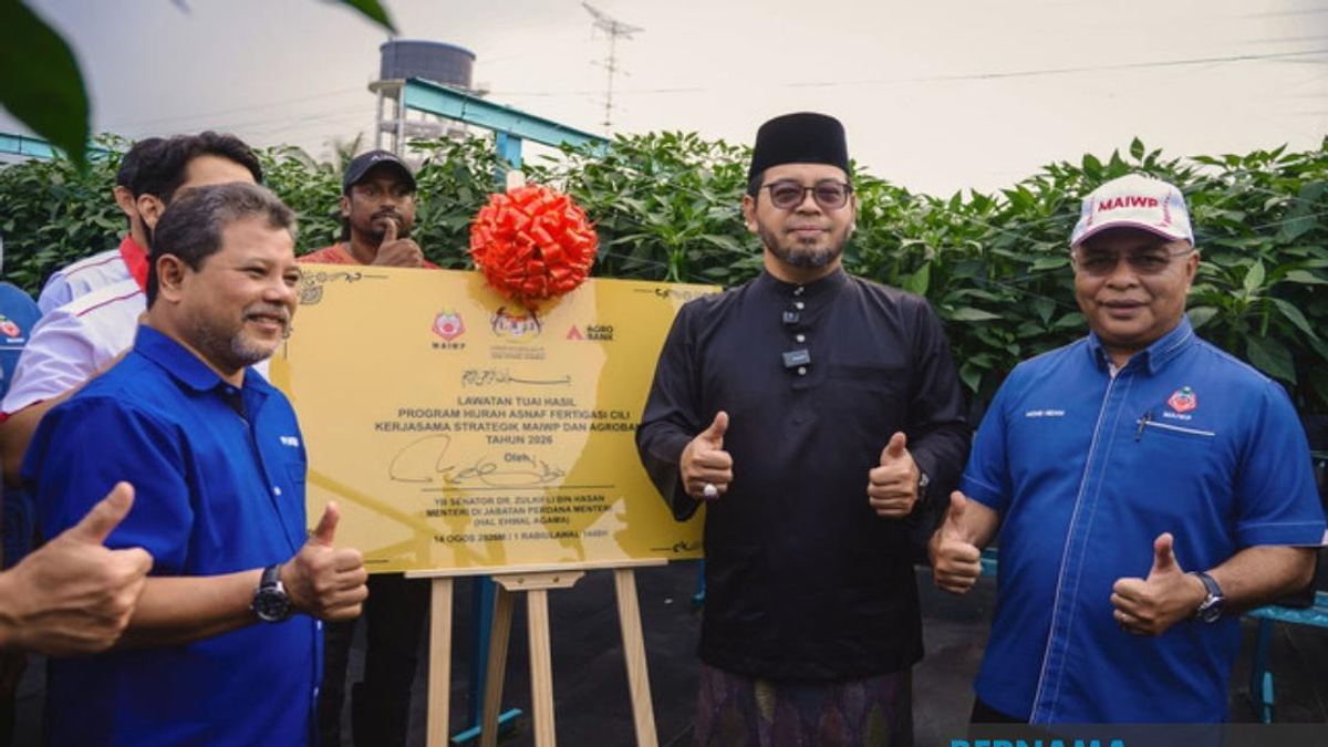 MAIWP Scales Up Asnaf Chilli Farming Initiative As Pilot Delivers Strong Returns