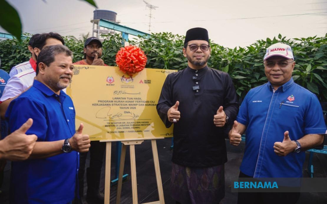 MAIWP Scales Up Asnaf Chilli Farming Initiative As Pilot Delivers Strong Returns