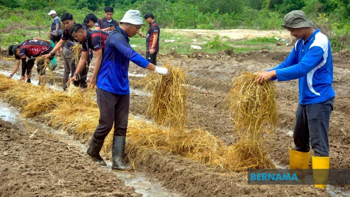 Agricultural TVET Employment Gains Ground, But Sector Still Lags National Average