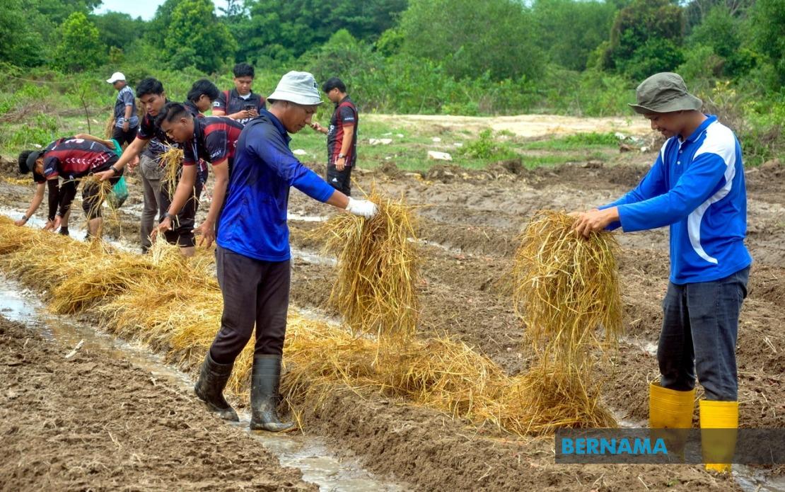 Agricultural TVET Employment Gains Ground, But Sector Still Lags National Average