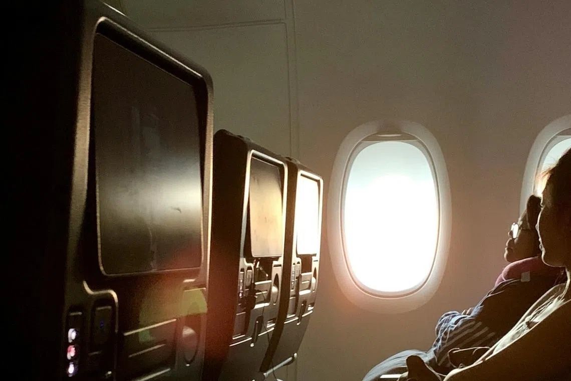 South Korean teenager petitions government over inappropriate in-flight movies
