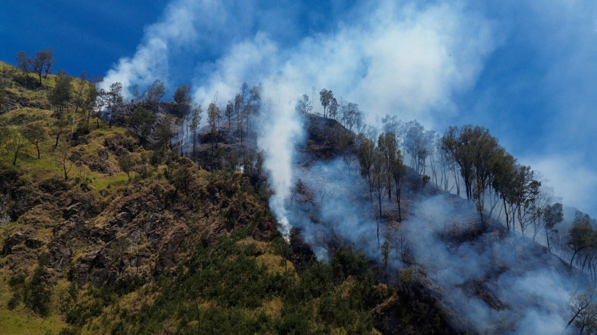 Indonesia Shuts Mount Bromo to Visitors as Wildfire Threatens East Java Icon