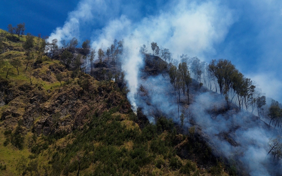 Indonesia Shuts Mount Bromo to Visitors as Wildfire Threatens East Java Icon