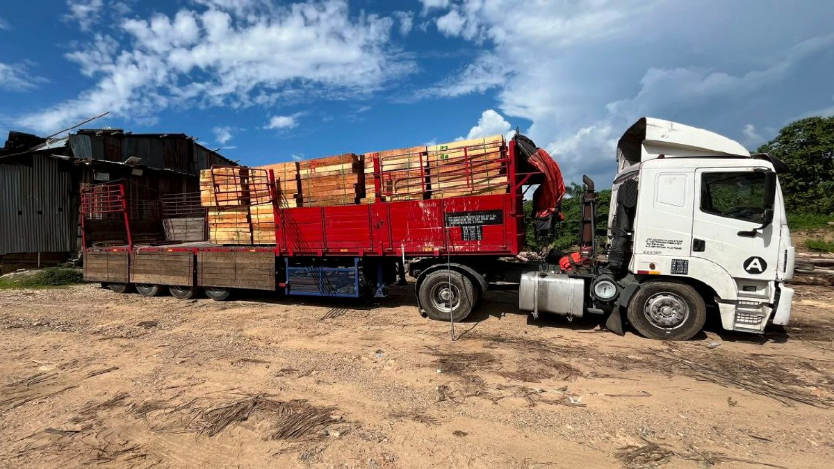 Five arrested as authorities bust illegal timber mill valued at RM2.32 million in Kelantan