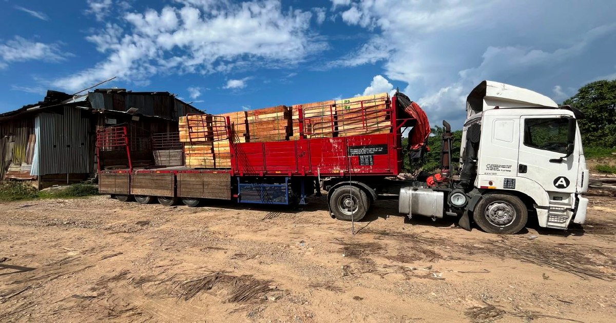Five arrested as authorities bust illegal timber mill valued at RM2.32 million in Kelantan