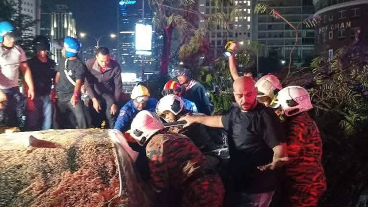 DBKL Launches Technical Investigation After Tree Falls and Kills Pedestrian on Jalan Tun Razak