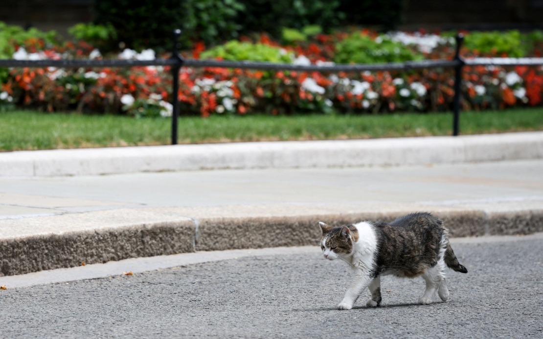 Larry the Cat Witnesses Sixth Change of Guard at 10 Downing Street
