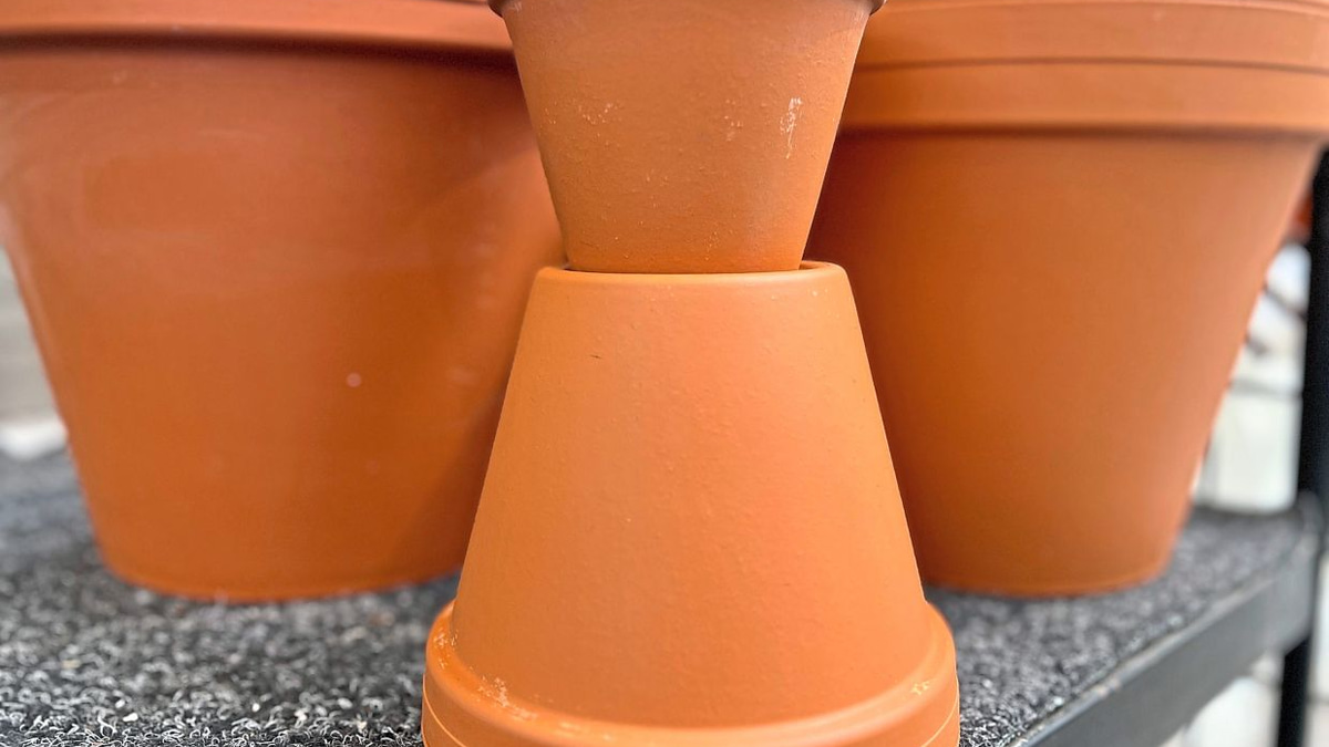 Protecting Your Garden: How Gardeners Can Reduce Microplastic Contamination in Soil