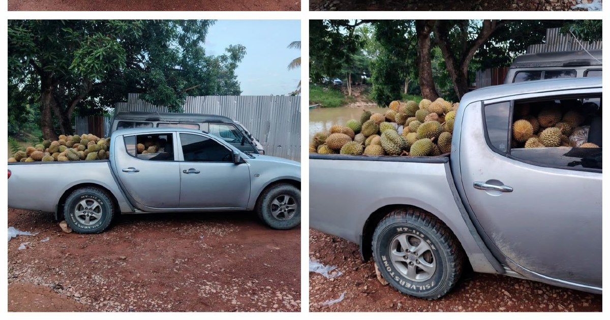 Part-time Driver Arrested with 700kg of Smuggled Durians Worth Tens of Thousands