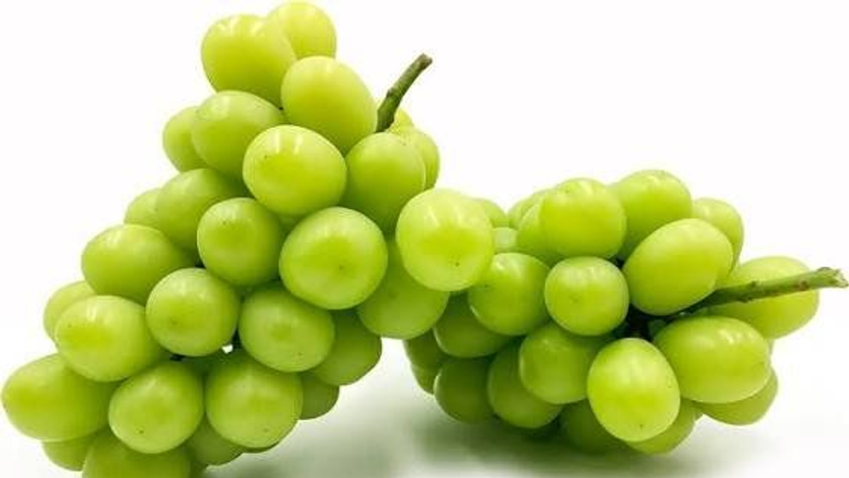 Japanese police arrest man in RM36,000 grape heist from Okayama greenhouse