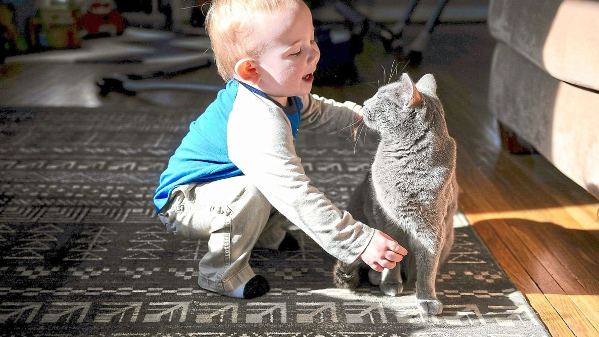 Swedish study finds pet cats do not worsen asthma in children