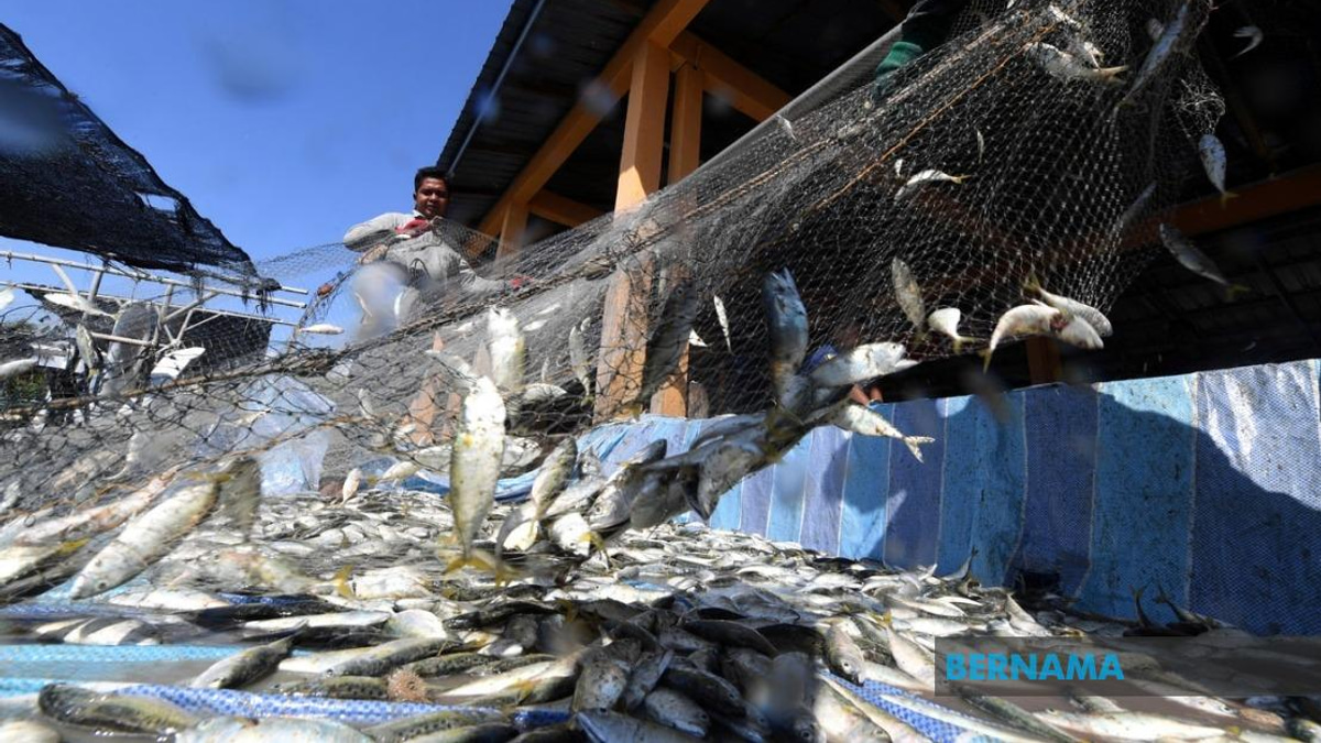 Government Invests RM10 Million in Fishermen Housing Scheme Across Malaysia