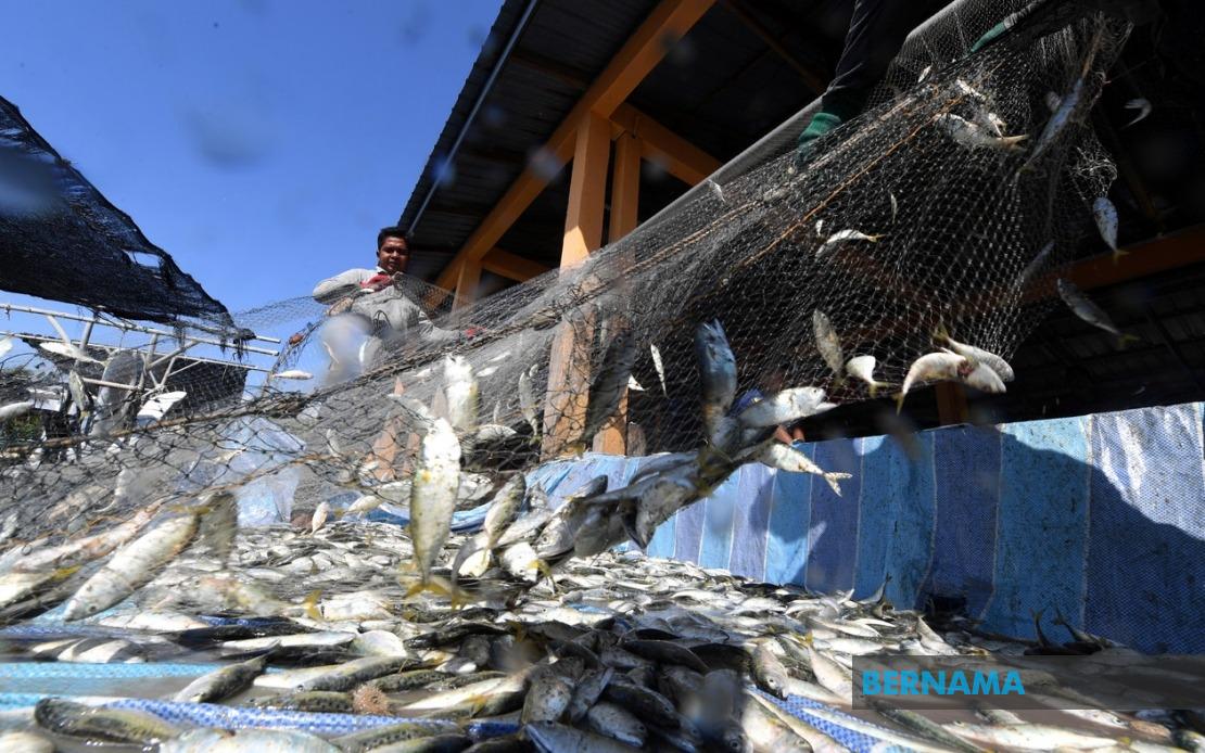 Government Invests RM10 Million in Fishermen Housing Scheme Across Malaysia