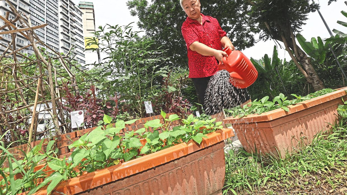 From Wasteland to Wellness: How Kuala Lumpur's Food Forest is Transforming Senior Living