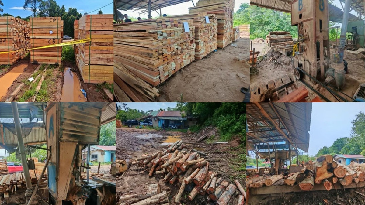 Four arrested in Kelantan timber raid; RM600,000 in illegal logs and equipment seized