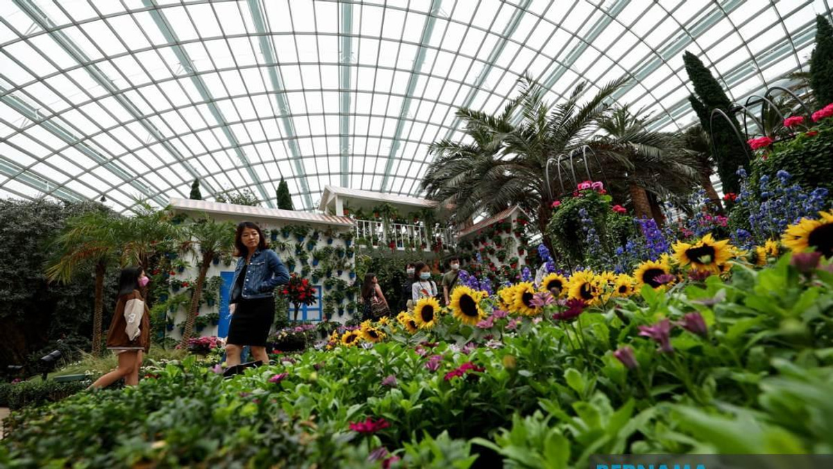 Southeast Asia in Focus: Labour Reforms, Rescue Operations and Youth Development Drive Regional Agenda