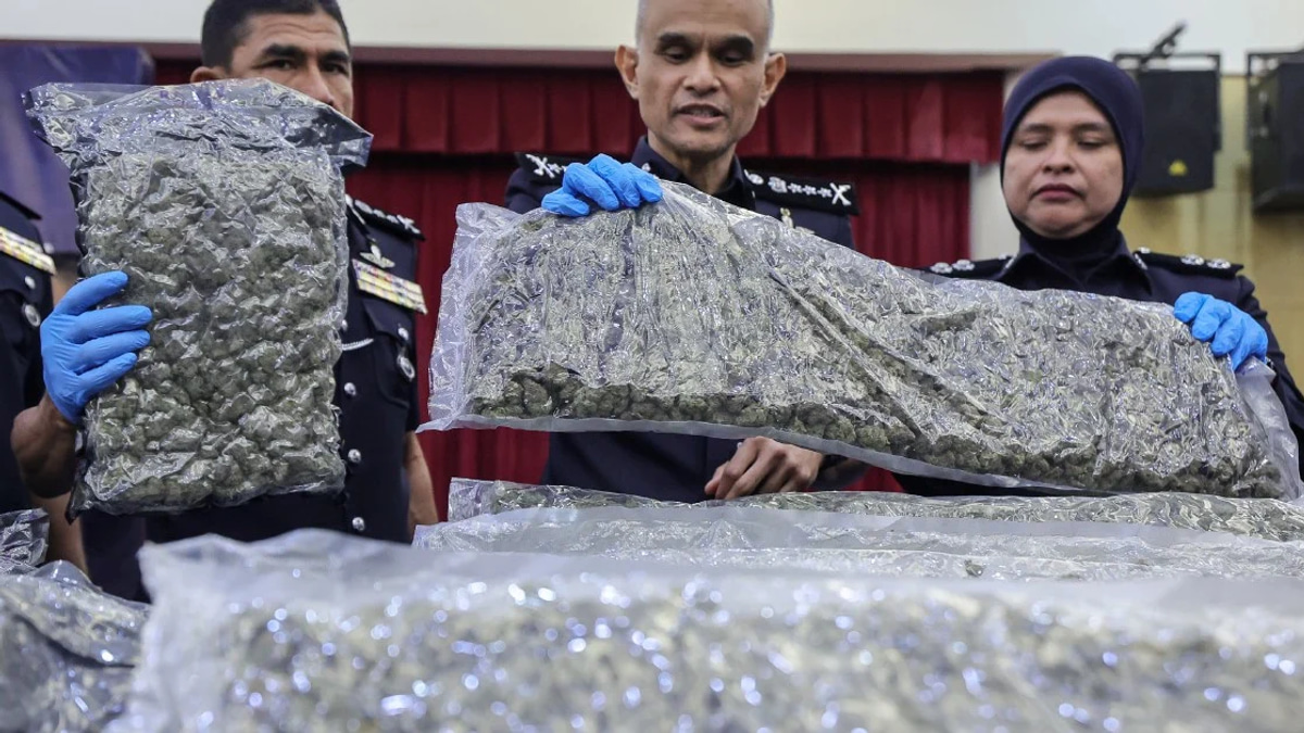 Police bust major cannabis ring at KLIA, arrest 38 in ongoing trafficking crackdown