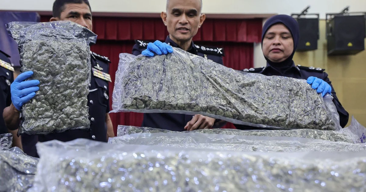Police bust major cannabis ring at KLIA, arrest 38 in ongoing trafficking crackdown