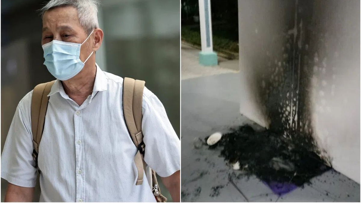 Bukit Batok man jailed three months for burning community cat shelters