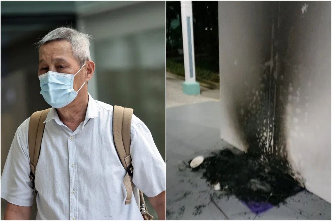 Bukit Batok man jailed three months for burning community cat shelters