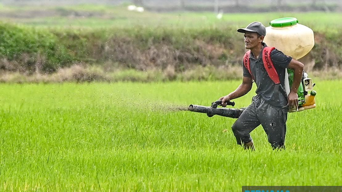 Kelantan Invests RM3.64 Million in Agriculture Push to Strengthen Food Security