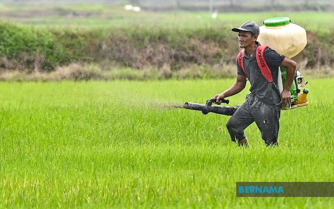 Kelantan Invests RM3.64 Million in Agriculture Push to Strengthen Food Security