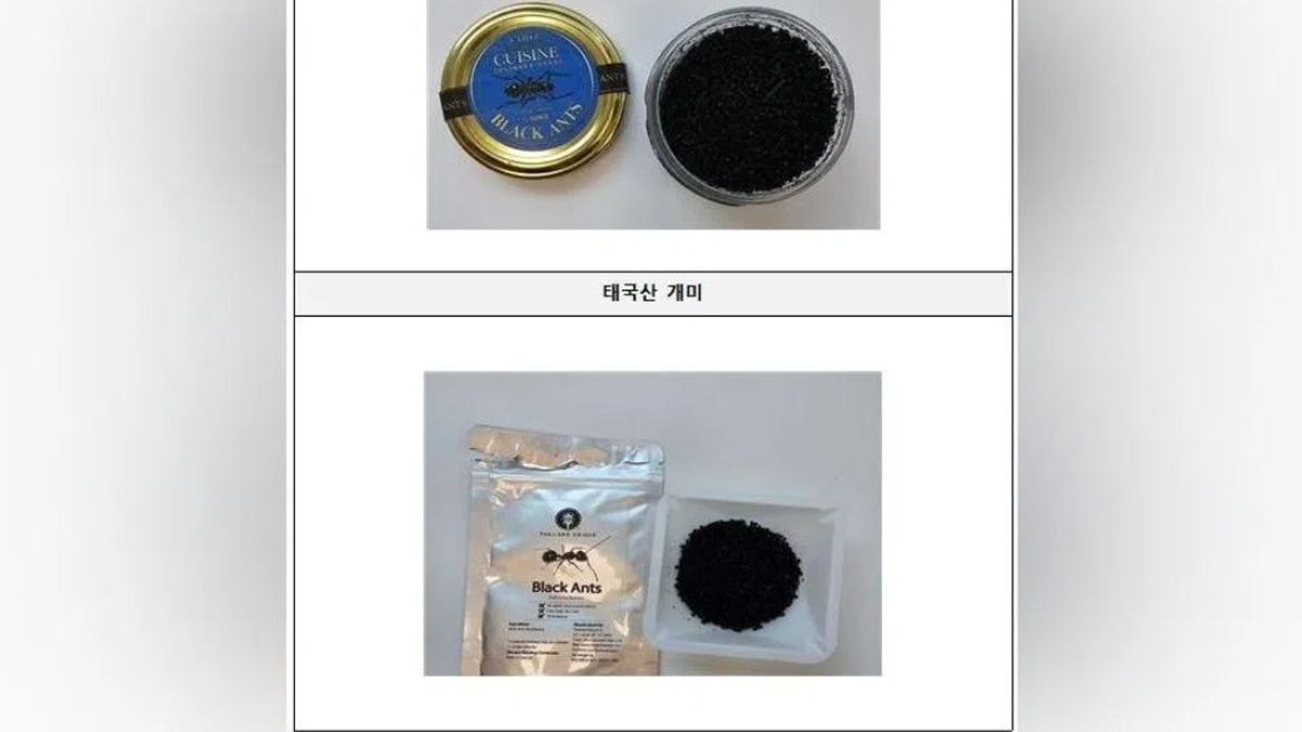 South Korean Michelin-starred chef faces prison over banned ant garnish in sorbet