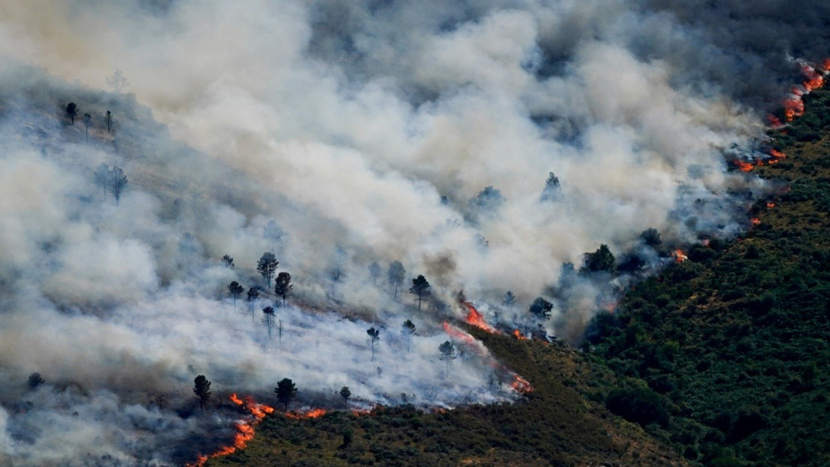 Spain Evacuates Nearly 60,000 as Madrid Wildfires Intensify