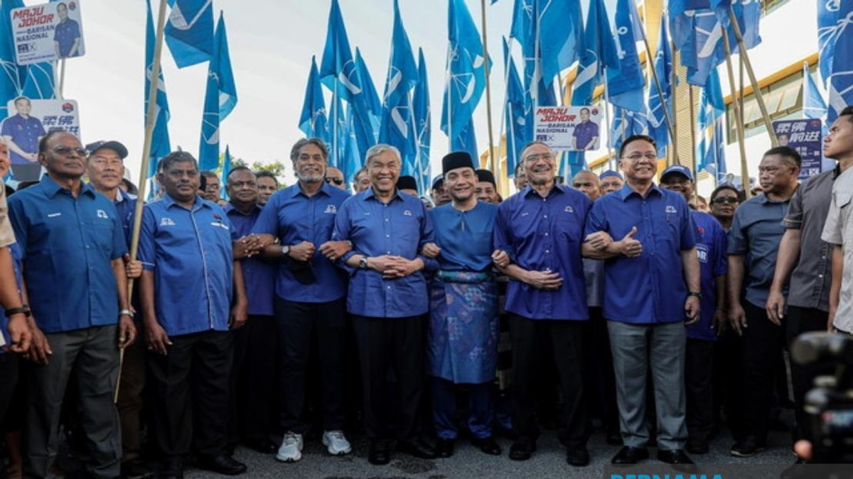 Top UMNO Figures Rally Behind Onn Hafiz in Johor Nomination Bid