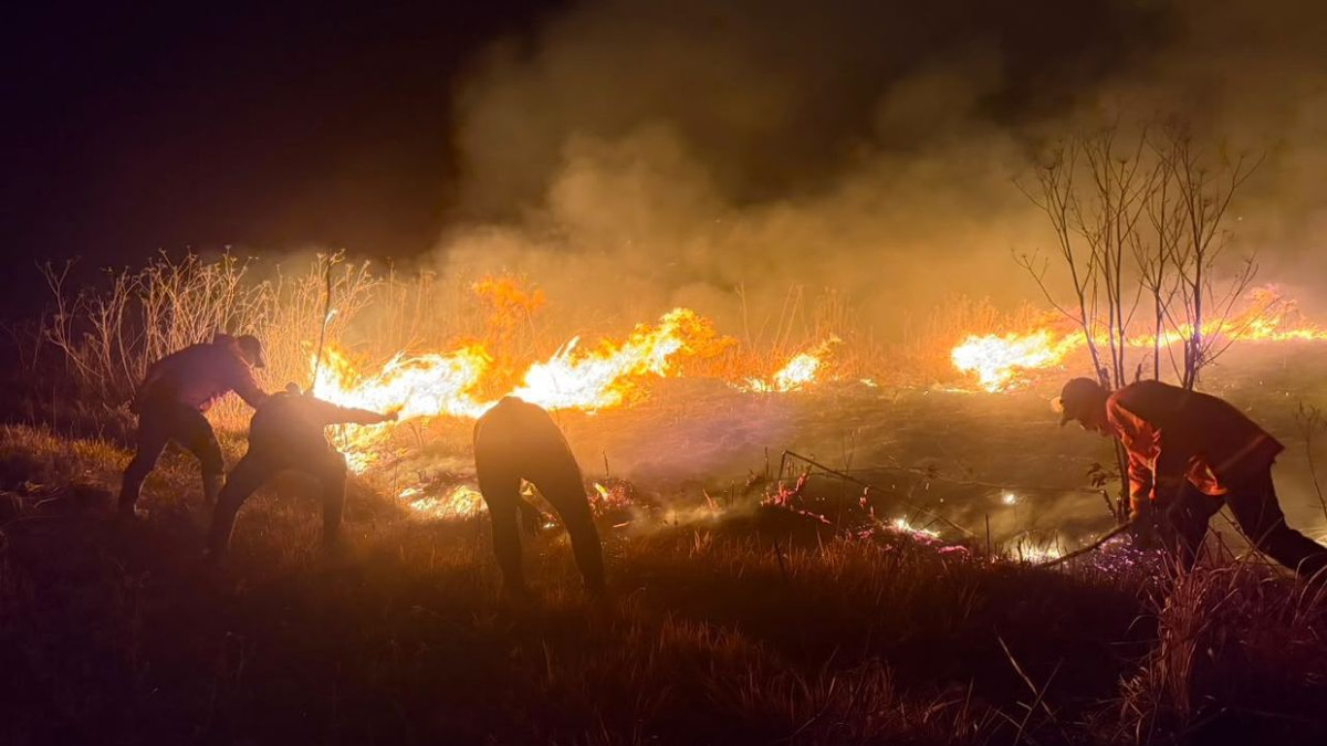 Mount Bromo wildfire engulfs 520 hectares as East Java battles escalating crisis