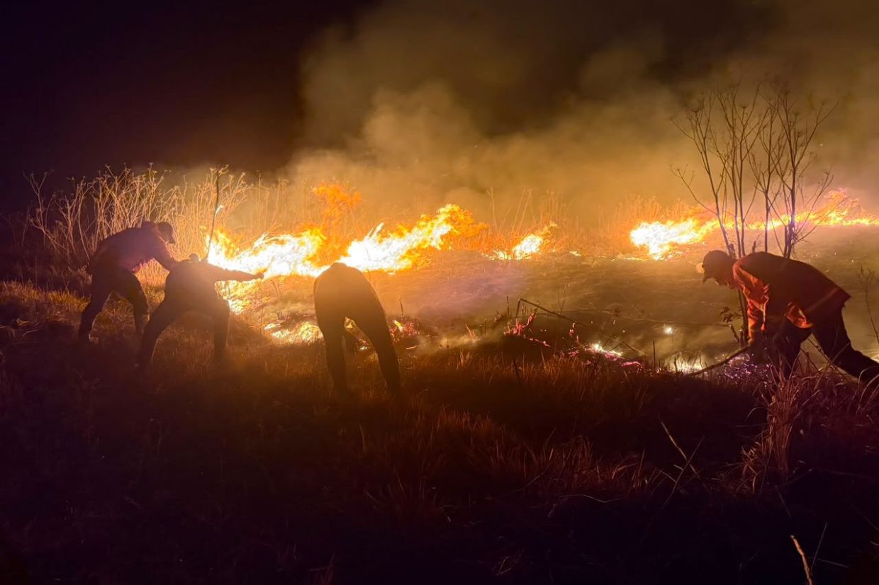 Mount Bromo wildfire engulfs 520 hectares as East Java battles escalating crisis