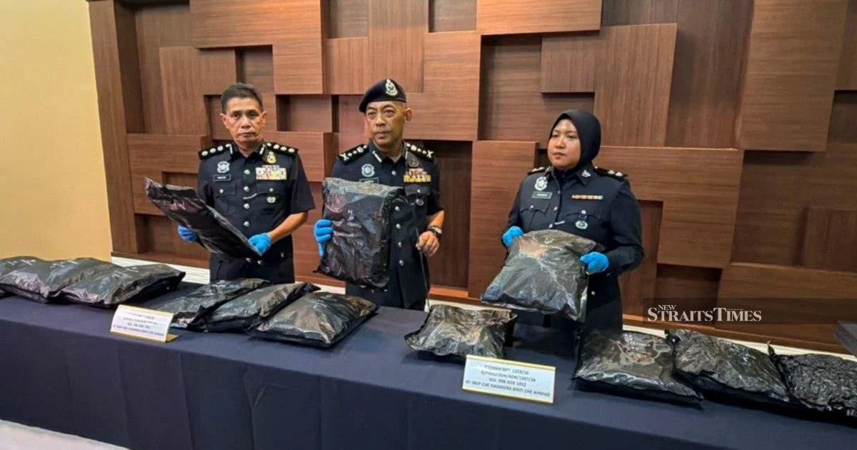 University Student Nabbed Smuggling RM1.17mil Cannabis Buds Through Bukit Kayu Hitam