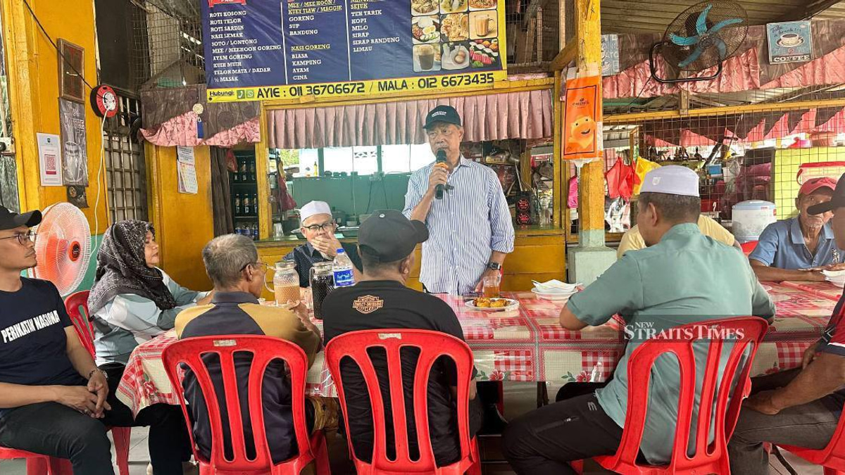 Bersatu stops short of endorsing opposition candidates in uncontested Johor seats