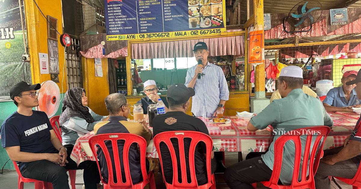 Bersatu stops short of endorsing opposition candidates in uncontested Johor seats
