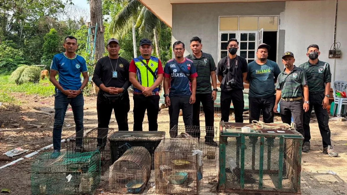 Teen held after RM48,500 protected wildlife seizure in Kelantan