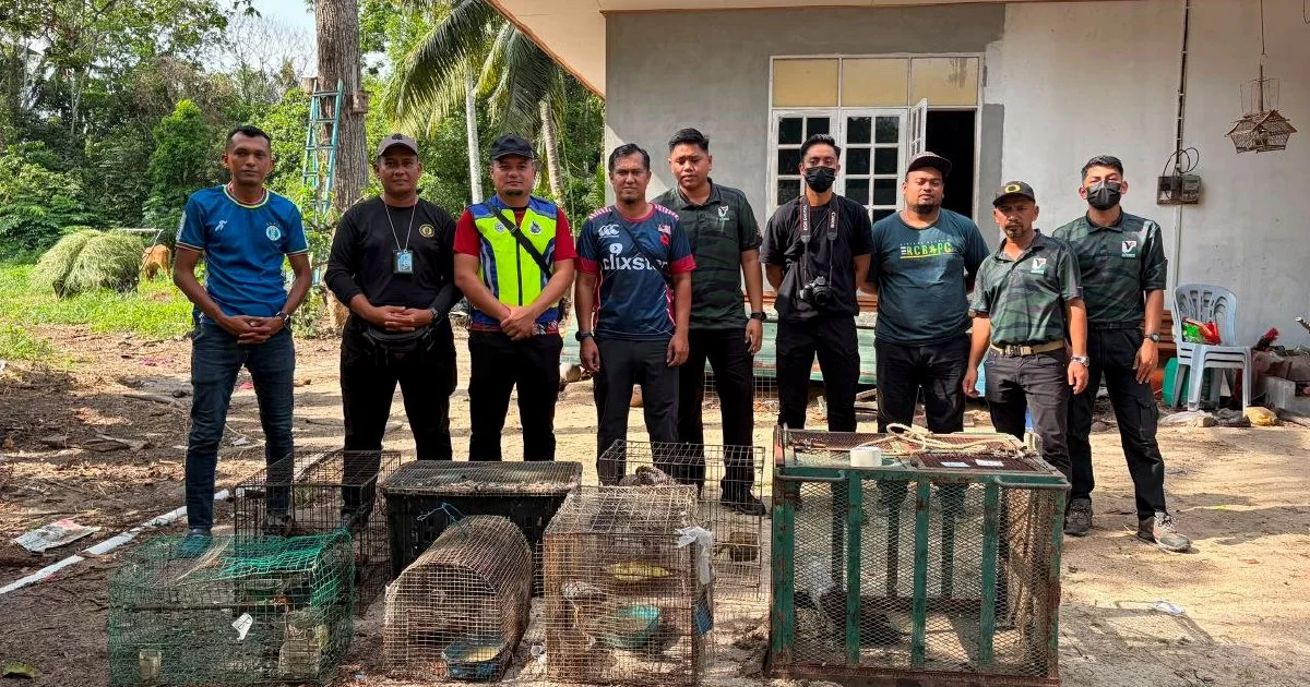 Teen held after RM48,500 protected wildlife seizure in Kelantan
