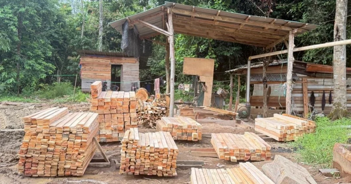 Five arrested as GOF breaks illegal logging operation in Kelantan, recovers nearly RM1.7 million