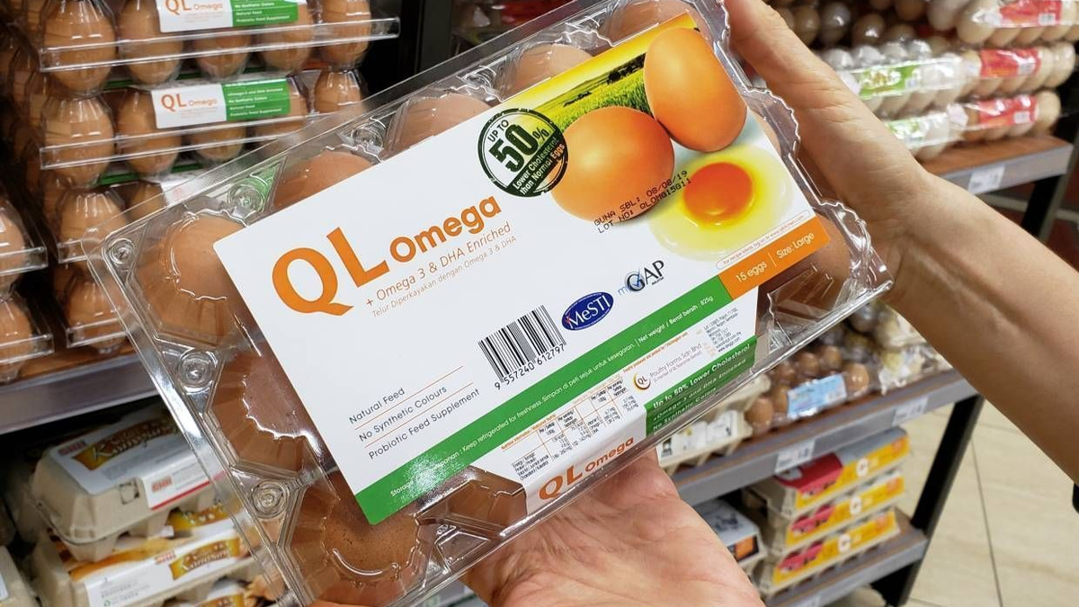 QL Resources Maintains Strong Fundamentals Despite Valuation Downgrade
