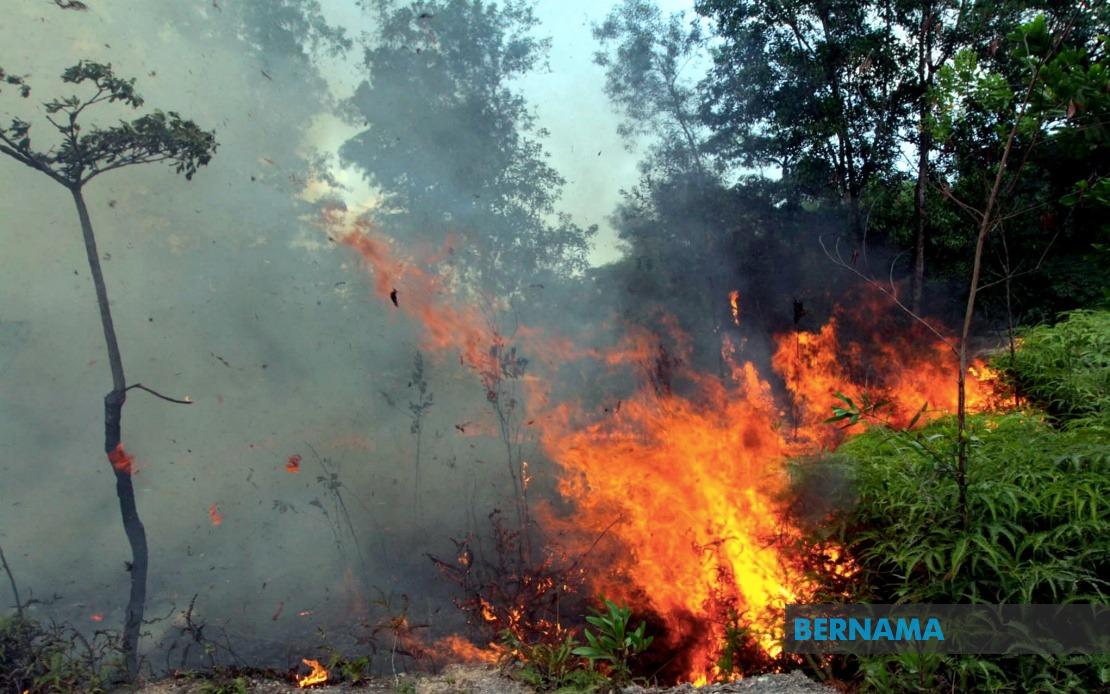 Sabah Tightens Fire Controls as Indonesian Haze Drifts Across Border
